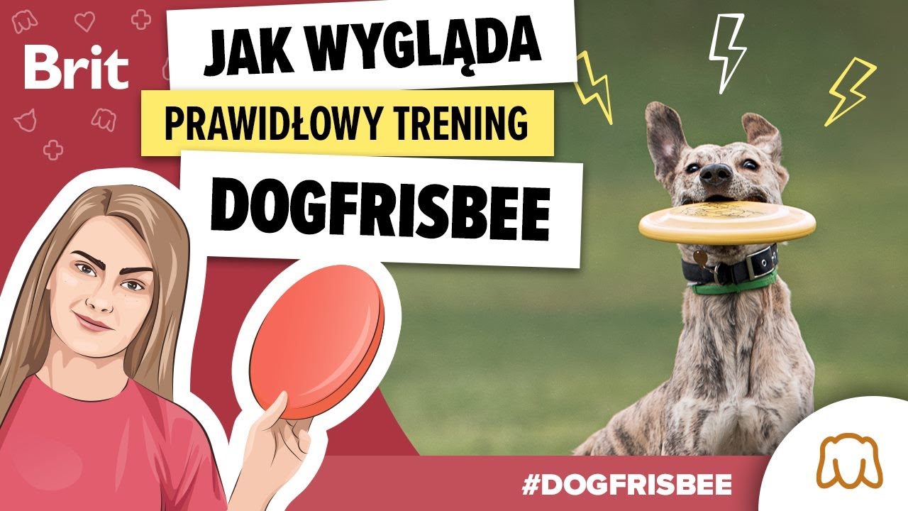DOGFRISBEE: Jak wygląda trening dogfrisbee z Pajonk Team! odc. 5 - Brit Polska