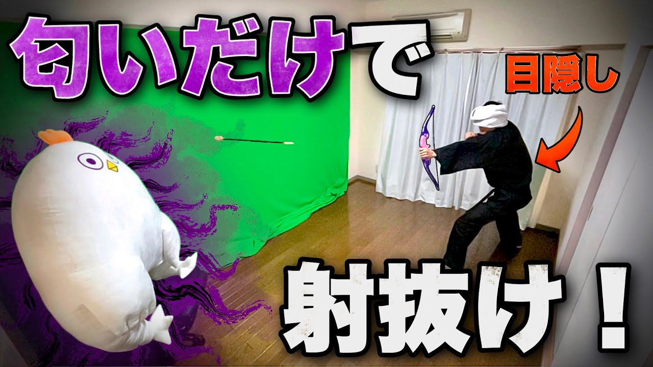 的が”激クサ”なら目隠ししても矢で射抜ける？