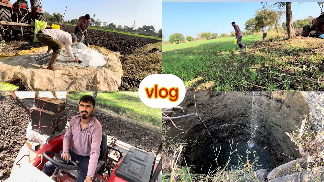 Aaj Khet me dala urea khad 8/365 Day Challenge Shub ki life #vlog #dailvlog #farmequipment #farming 