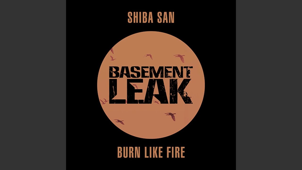 Burn Like Fire
