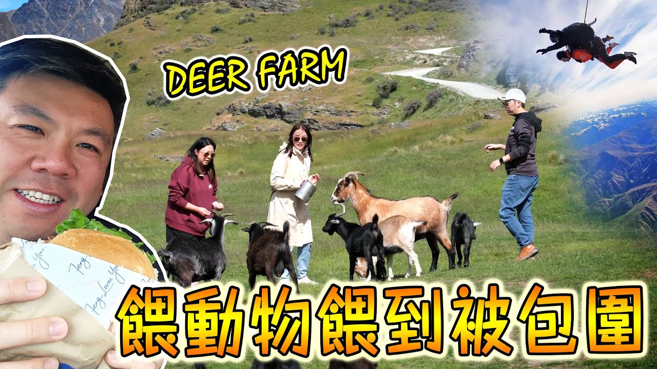 👉 有人終於跳傘成功！Queenstown 最瘋狂一日｜Skydive＋Deer Farm＋必食 Burger