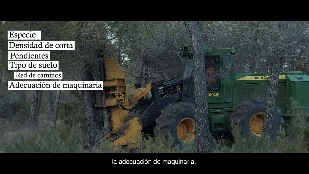 Veolia Biomasa España: La fuerza de la biomasa