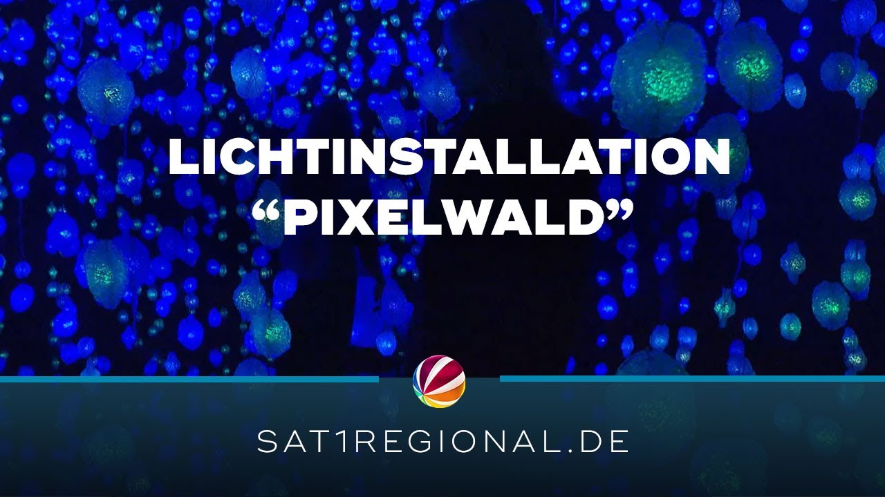 „Pixelwald“: Faszinierende Lichtinstallation in Bremer Kunsthalle