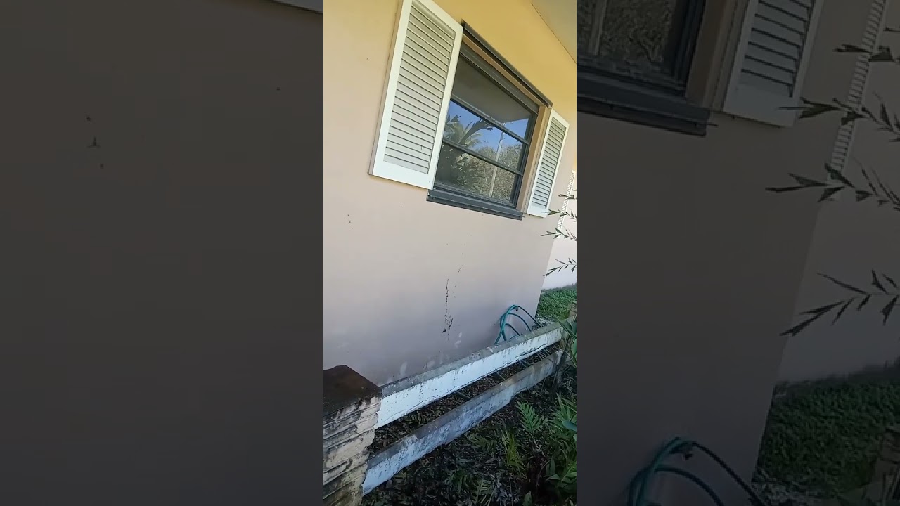 PINECREST FLORIDA (786-259-3828)