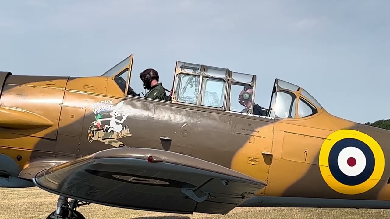 T6 Harvard ( Wackey-Wabbit ) 