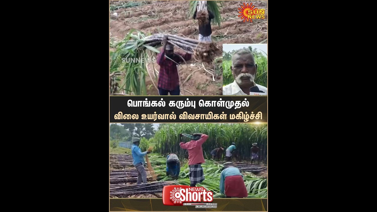 Pongal Sugarcane Procurement | Farmers | Happy News | Price Increase | Sun News