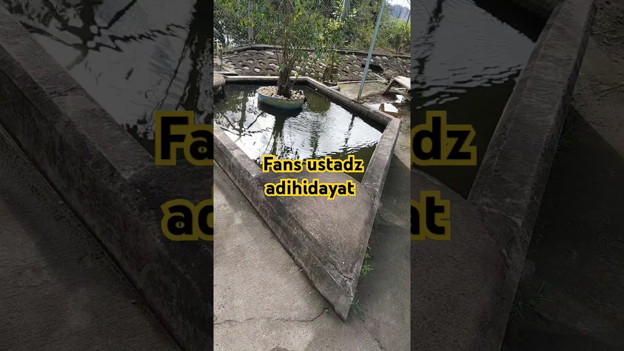 Fans ustadz adihidayat 