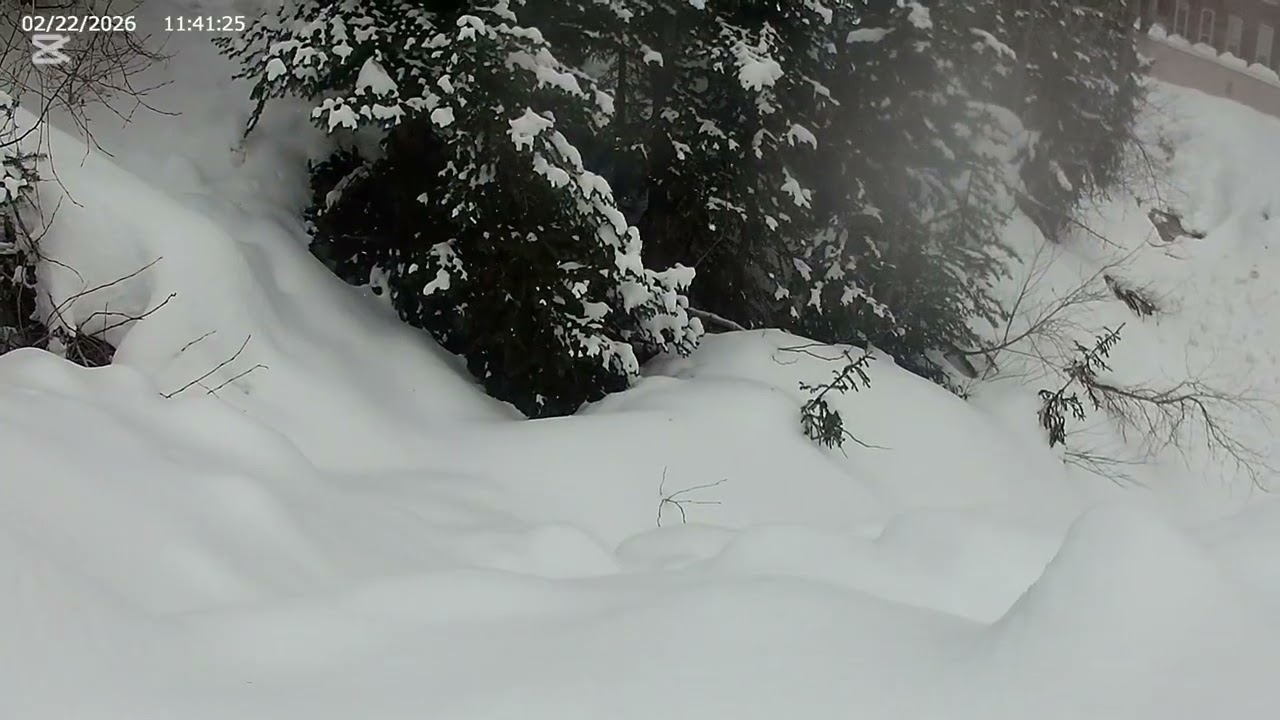 Trip to big white the snowy wonderland 