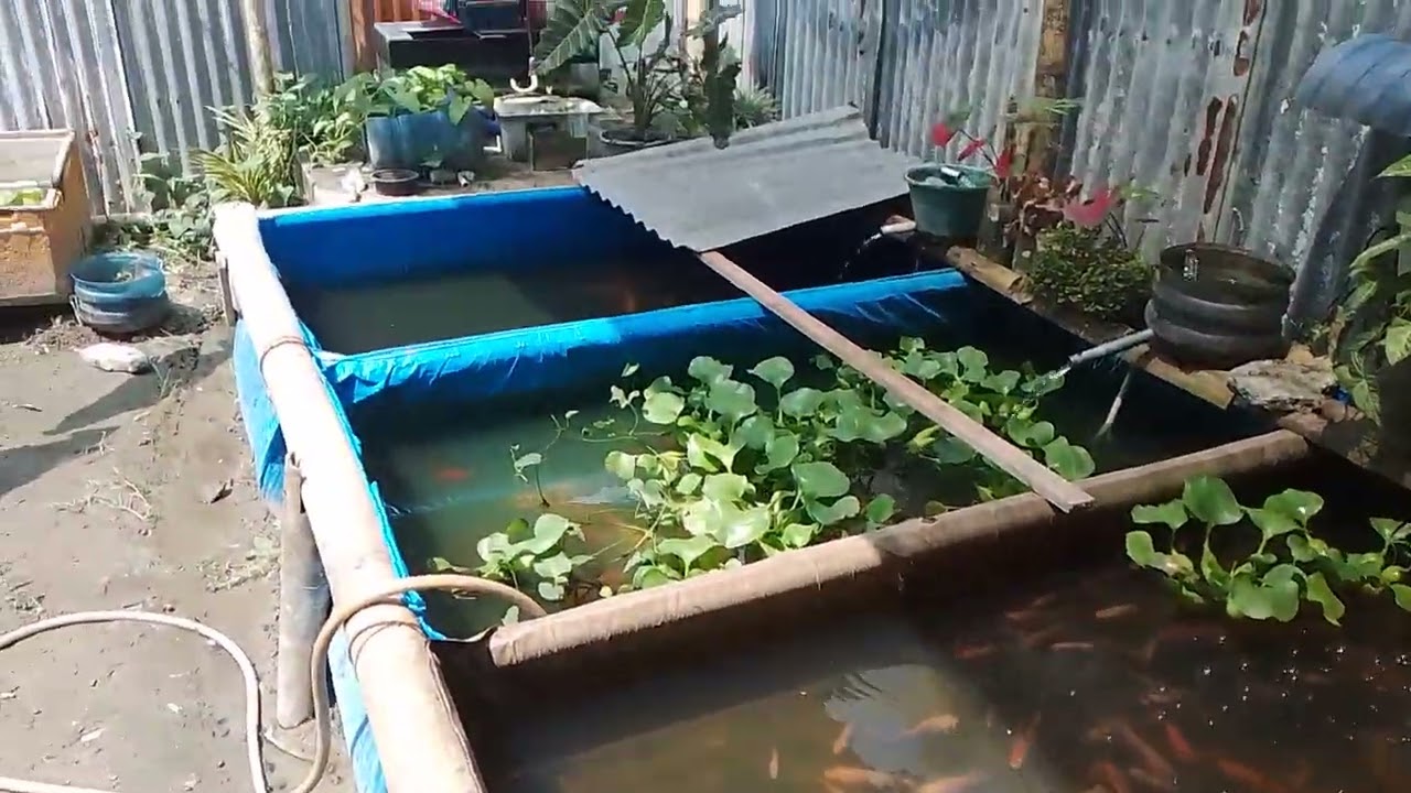 Nila Bangkok.