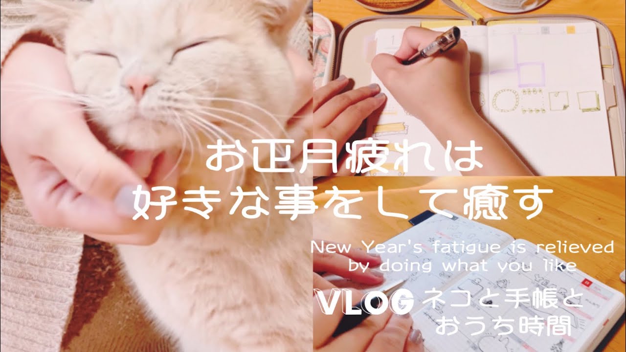 朝夜の手帳作り／市販品で朝と昼ごはん【VLOG】ネコとウサギに癒される
