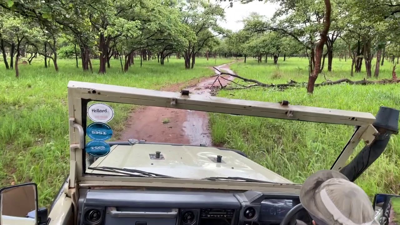 Safari in Zambia, Lilayi Lodge