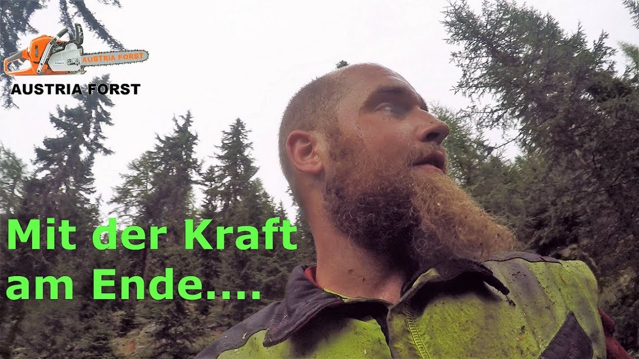 Am Ende des Sturmes      Austria Forst Talk # 11