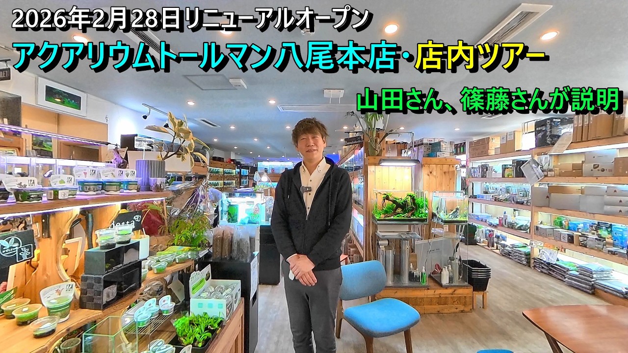 2026年2月28日リニューアルオープン、アクアリウムトールマン八尾本店の山田さん、篠藤さんによる店内ツアーと説明