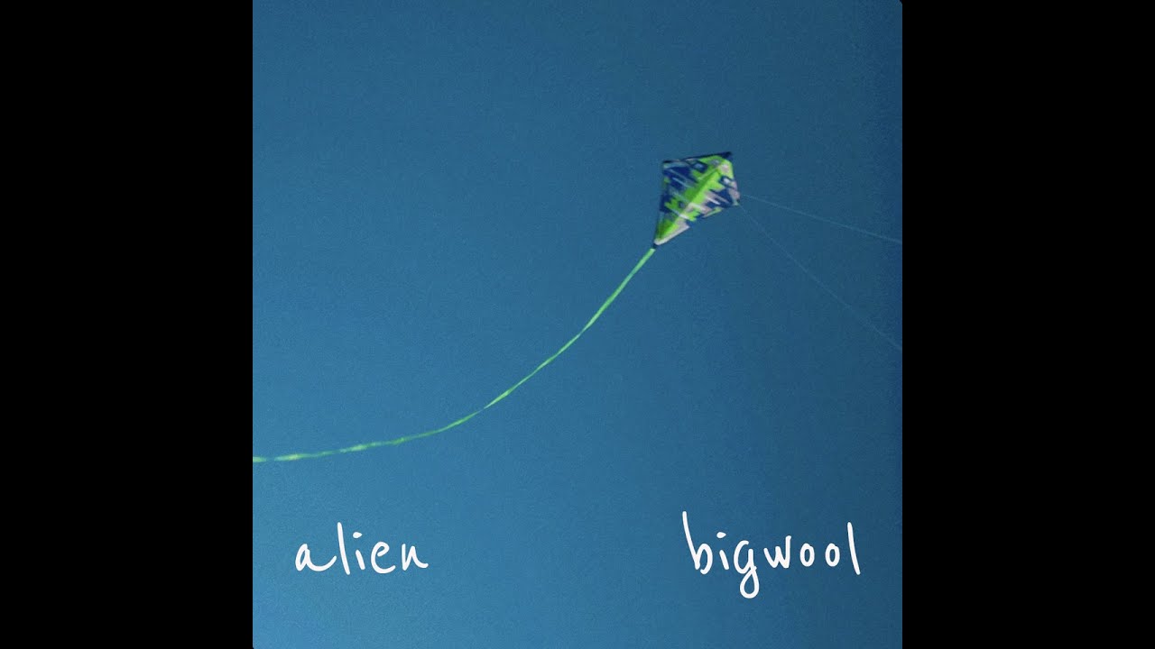 Big Wool - Alien
