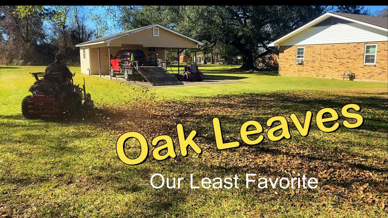 Just Another January Service | When Does Your Lawn Season Start ?