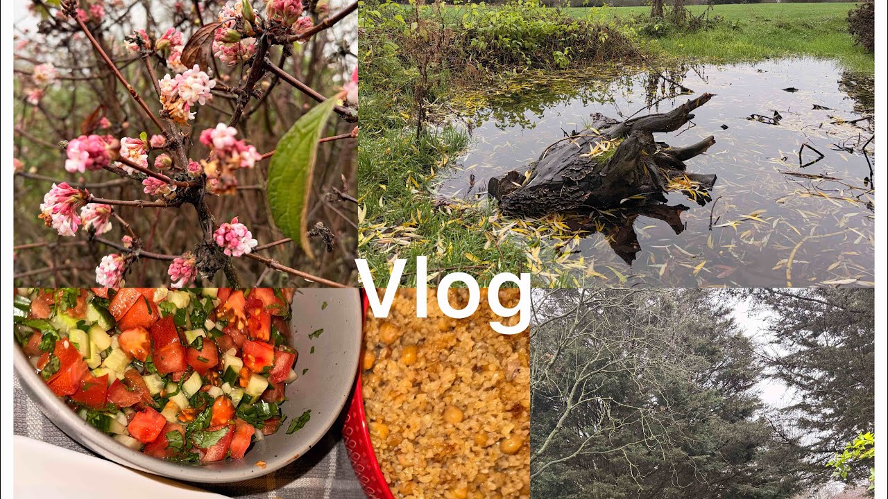 Silent vlog /rainy days/ cooking burgul pilaf with chicken 🍗/relaxing in nature 🌳🦜