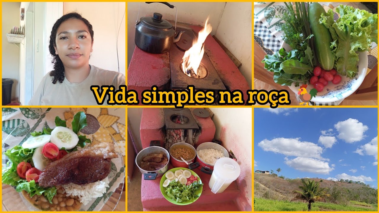 Vida na roça 🌵 almoço delicioso 😋 no fogão a lenha 🪵 colheita na horta 🥗 rotina simples ♥️
