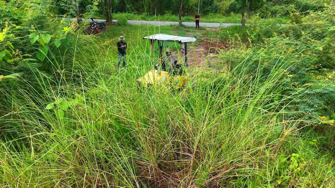 Amazing Project Operator Skills Clearing The Forest By Bulldozer D20P Good Forest clearing