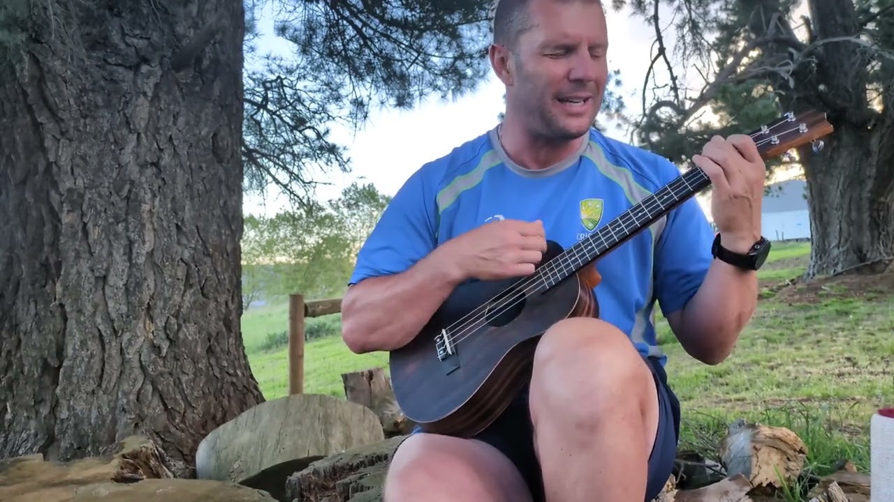 Next Semester by Twenty One Pilots - Lockyer's Baritone Ukulele Cover