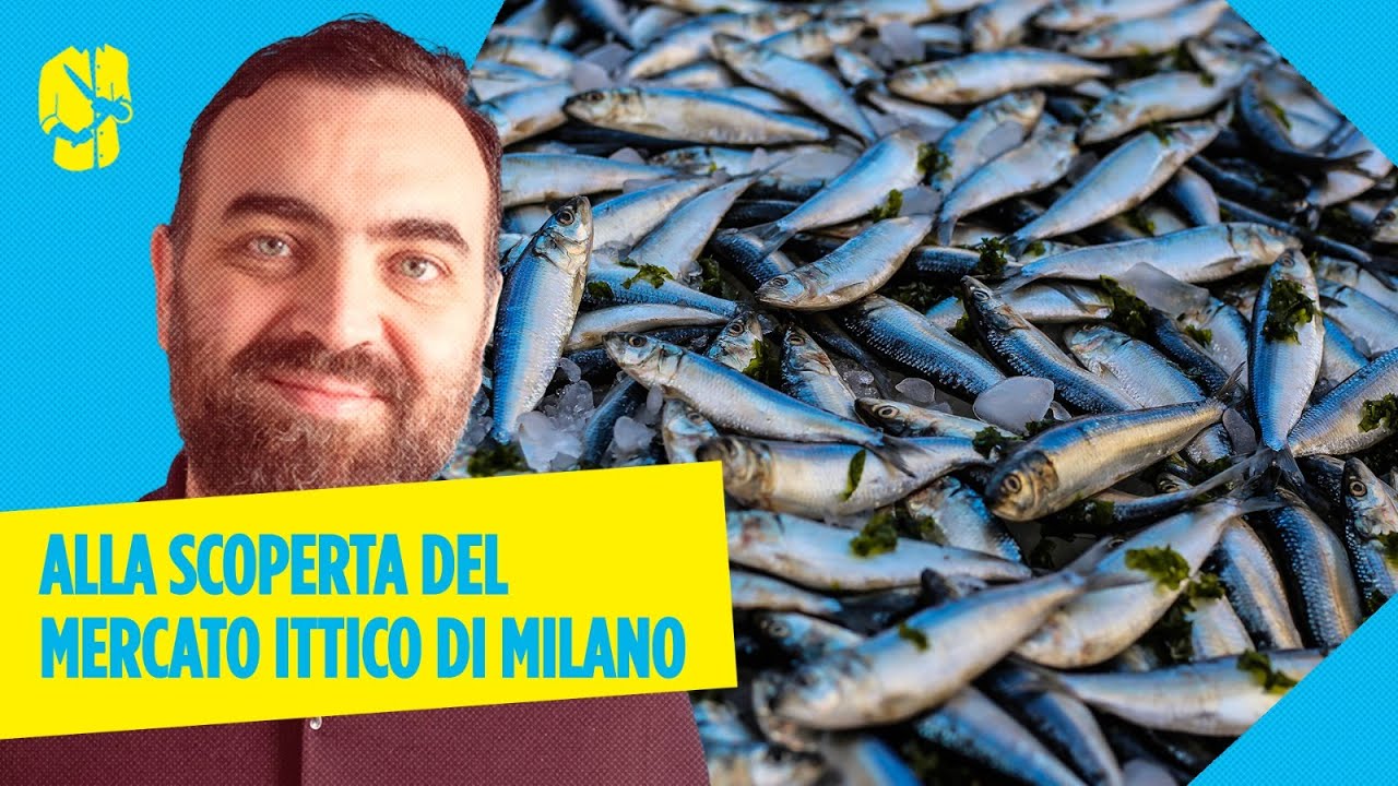 Come funziona il MERCATO DEL PESCE di Milano