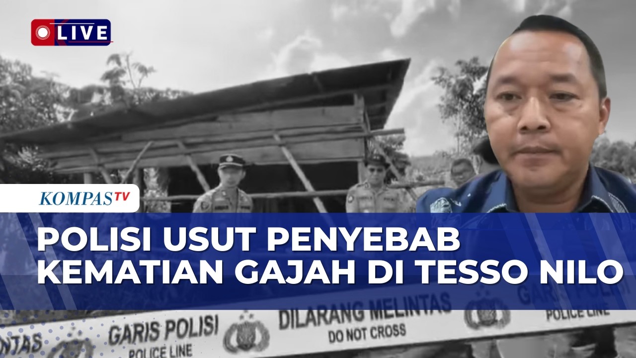 Dirkrimsus Polda Riau Usut Motif Kematian Anak Gajah si Tesso Nilo, Kesengajaan Atau Kelalaian?