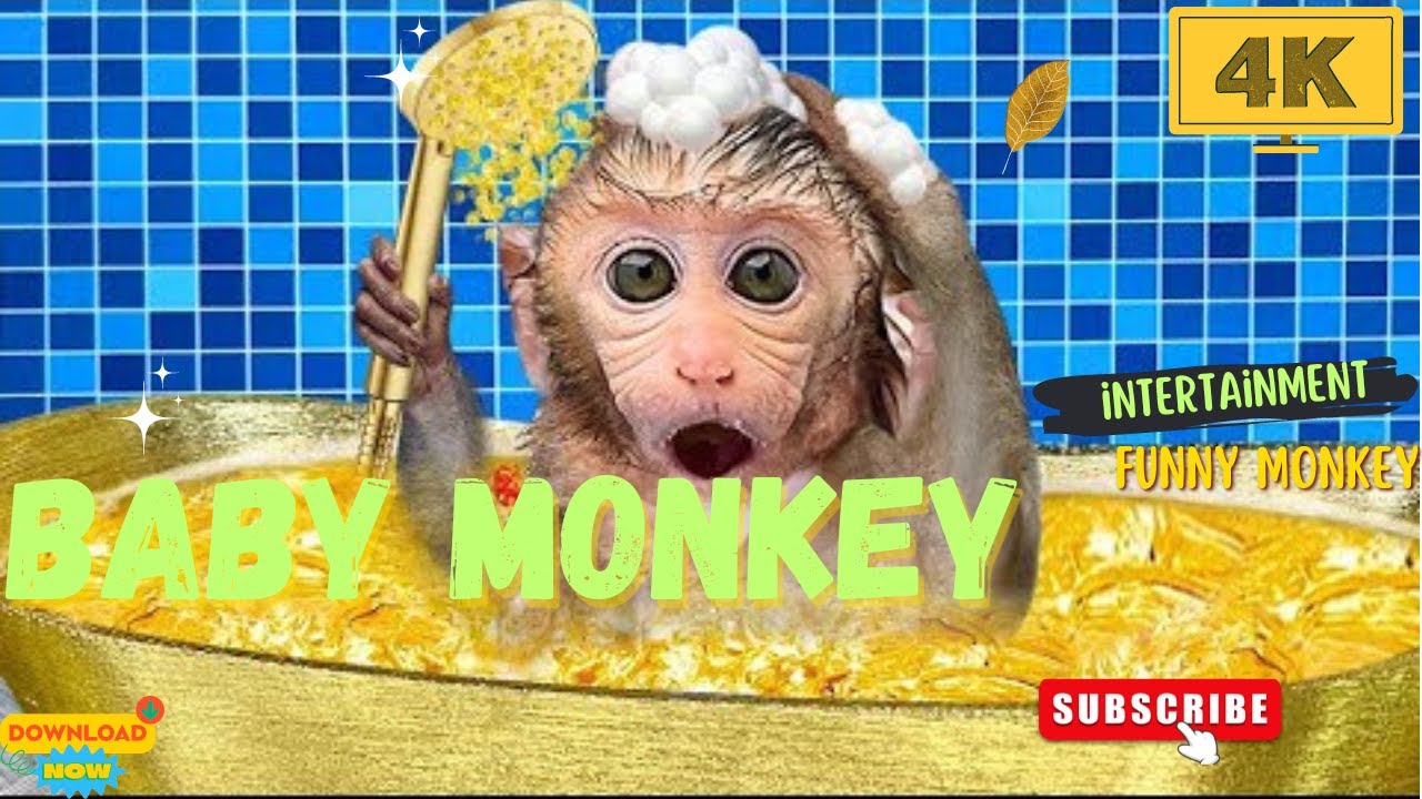Monkey Baby Bon Bon eat fruits in the bathtub and naughty with puppy 4K 60FPS