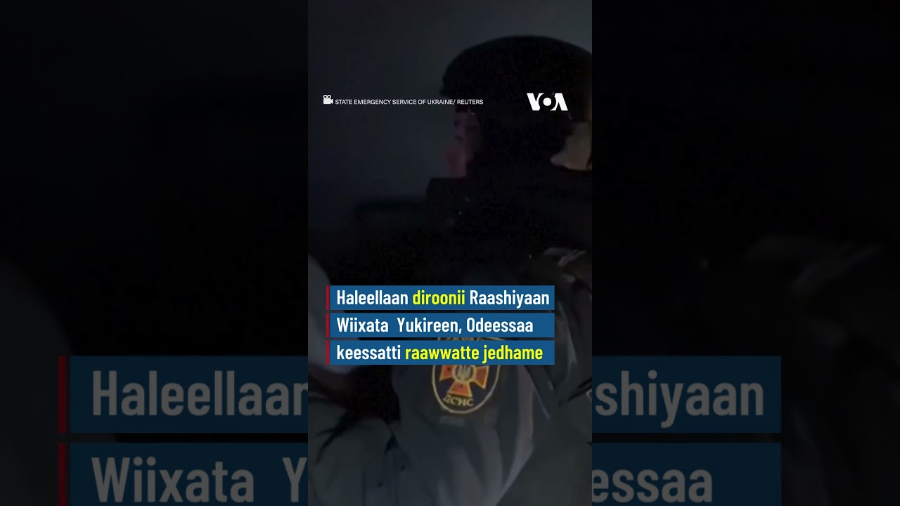 Yukireen Keessatti haleellan Diroonii Bu'uraalee Misoomaa Miidhe| VOA Afaan Oromoo