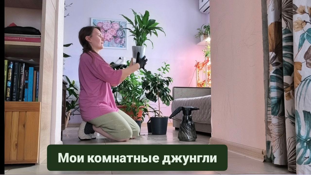 Стеллаж для растений с подсветкой СВОИМИ РУКАМИ | Уютное вязание и керамика из печки