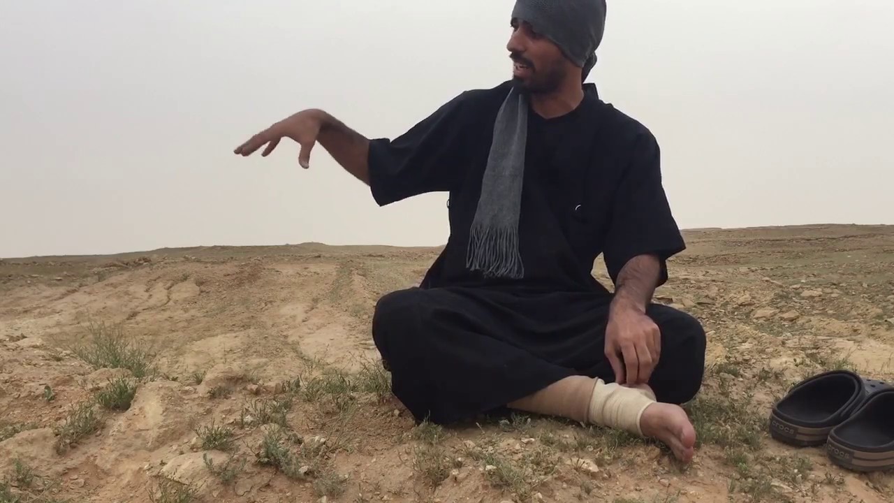 شرح أسباب سحب الخيل للعنان وتنزيل رأسها تحت أثناء الركوب