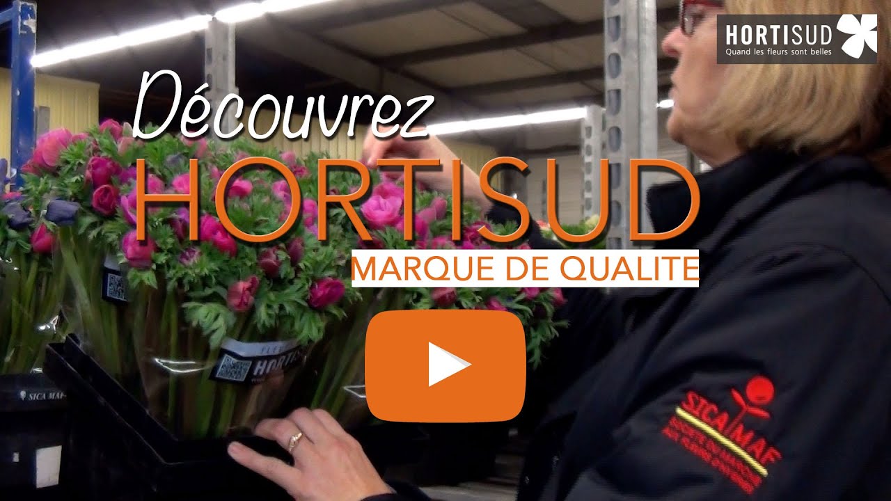 Hortisud. Label HORTISUD. Sica marché aux fleurs d'Hyères.