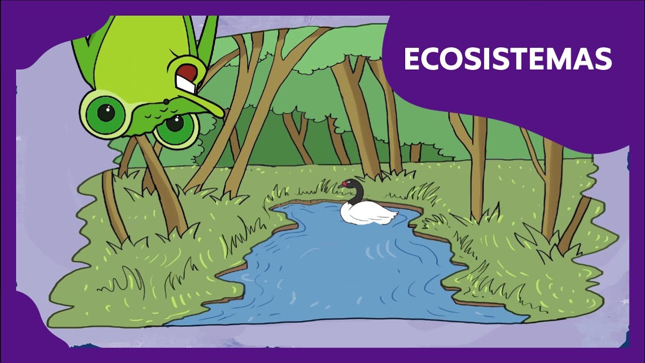 Ecosistemas | Planeta Darwin | Ciencias naturales 4&ordm; b&aacute;sico