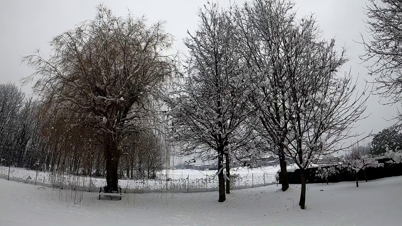 Rogoredo Snow
