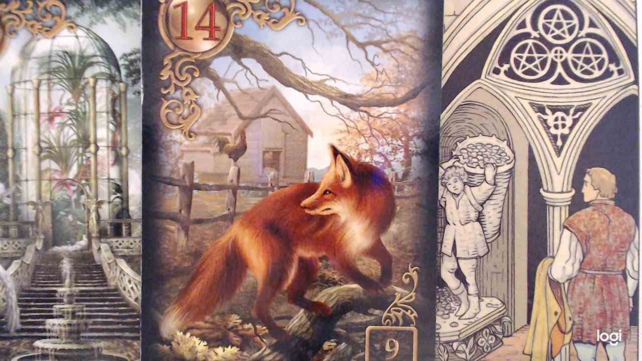 Taurus ❤️🔮
