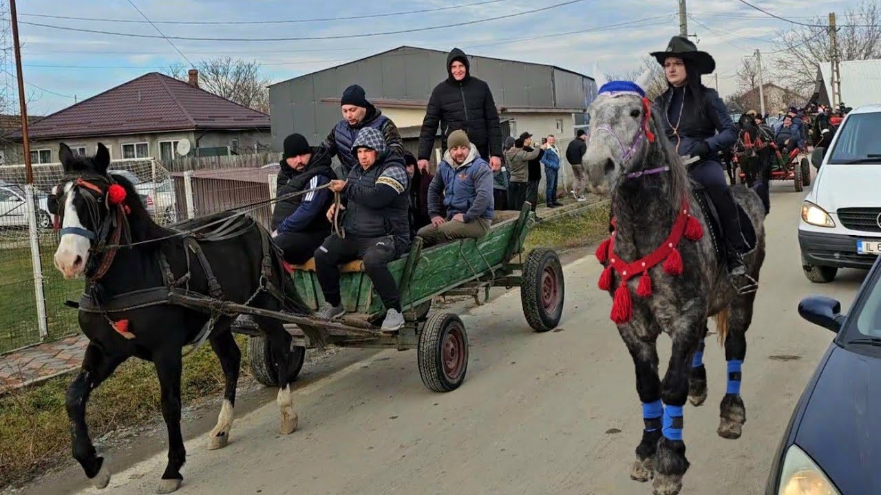 BOTEZUL CAILOR,TRADITIE ROMANEASCA LA COSERENI,JUD IALOMITA