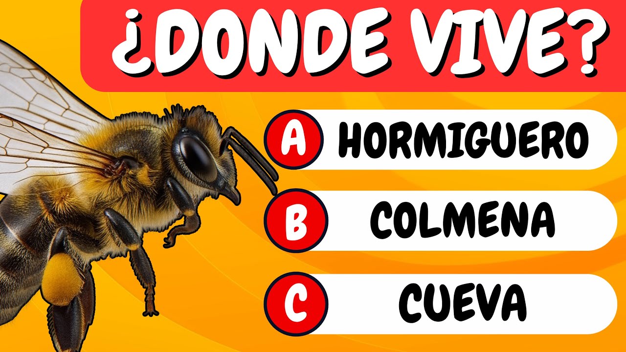 Si FALLAS este QUIZ de Primaria, DEBES VOLVER A LA ESCUELA 🧠😅📚