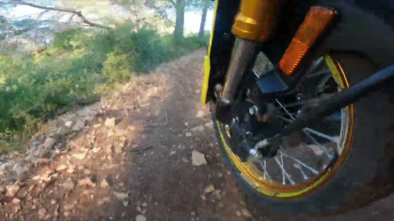 V-STROM 800 DE : Comportement de la Suspension d'Origine sur Terrain Accidenté