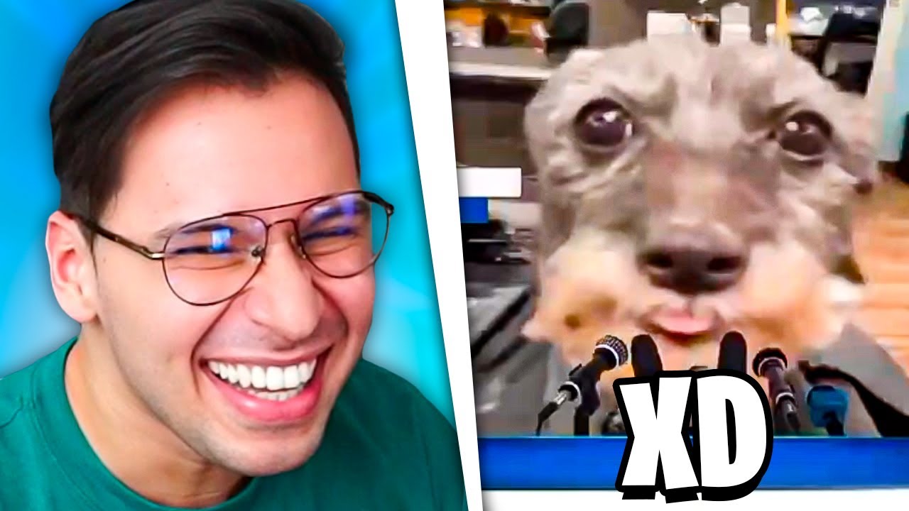 MEMES POR LOS QUE PAGAS EL INTERNET XD #16