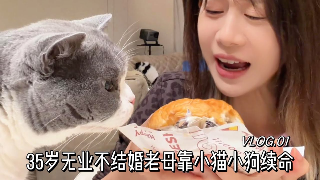 📕：低能量中年老鼠人自救指南