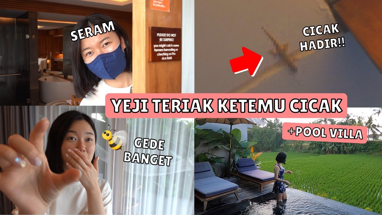 YEJI TERIAK KETEMU CICAK INDONESIA🇮🇩 + VILLA HONEY MOON
