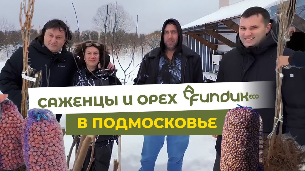 Саженцы и орех Fundukeco в Подмосковье | ФУНДУК в РОССИИ