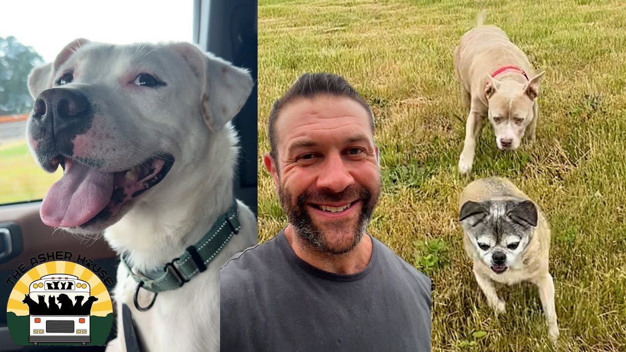 We went to rescue a dog that was in the shelter for 202 days and saved a few more | The Asher House