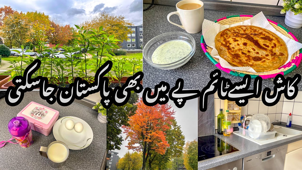 Pakistan Jany Ka Boht Dil Kar Raha Hai | My Morning Routine In Winter ❄️