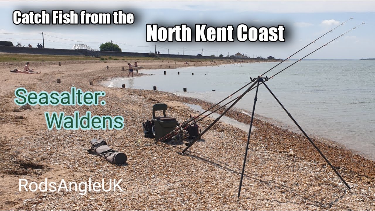 Catch Fish from the North Kent Coast: SEASALTER - WALDENS