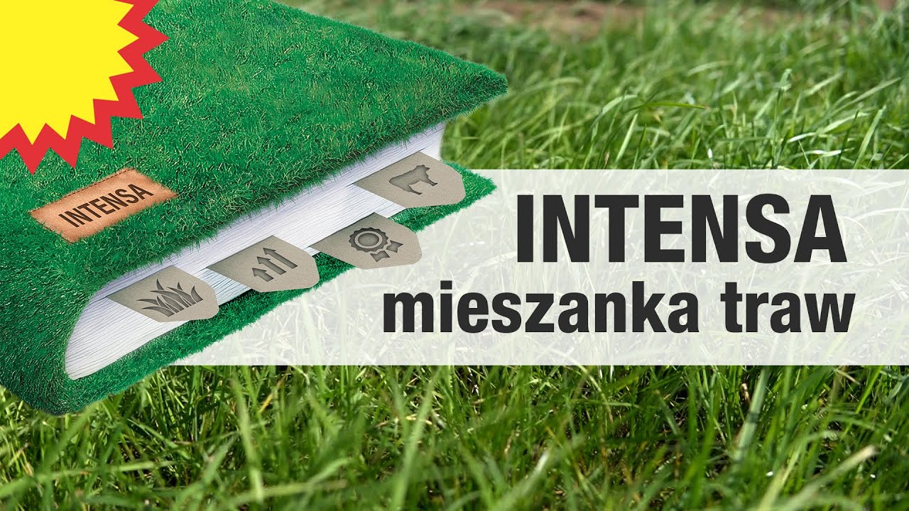 Uprawa użytków zielonych a hodowla bydła