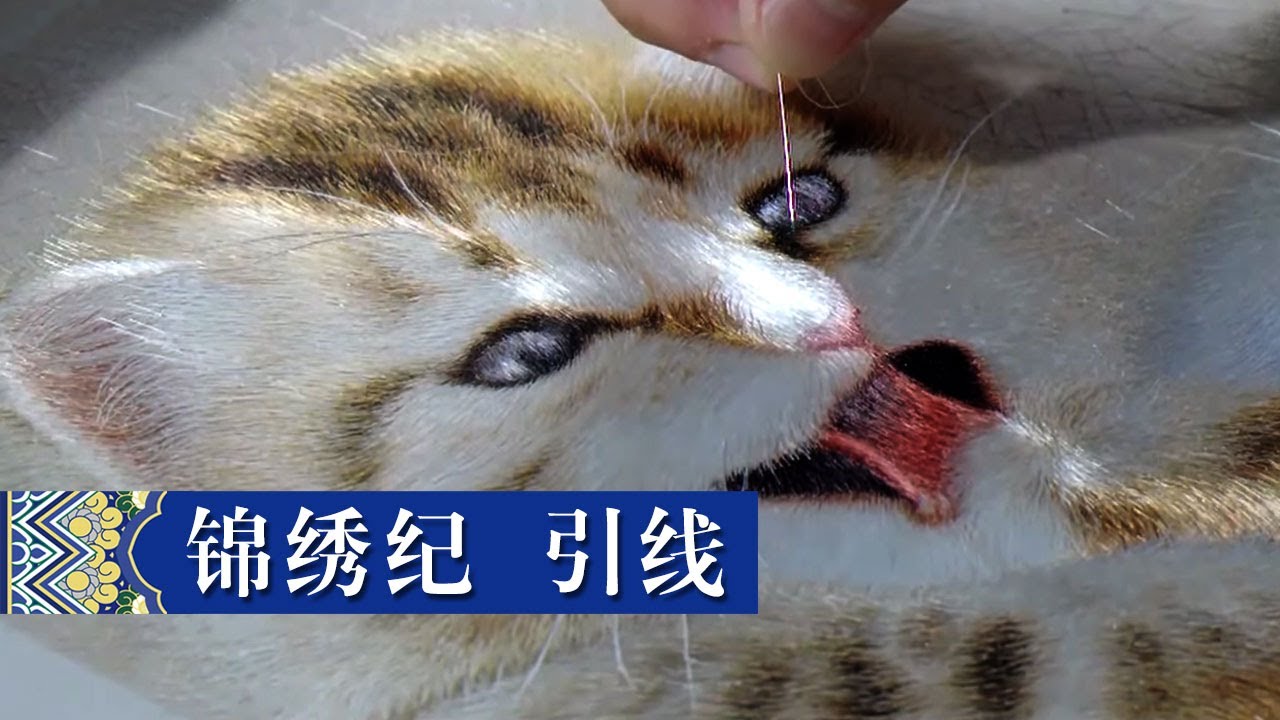 针尖上的艺术！苏绣到底有多精细？|《锦绣纪》第二集 中华国宝