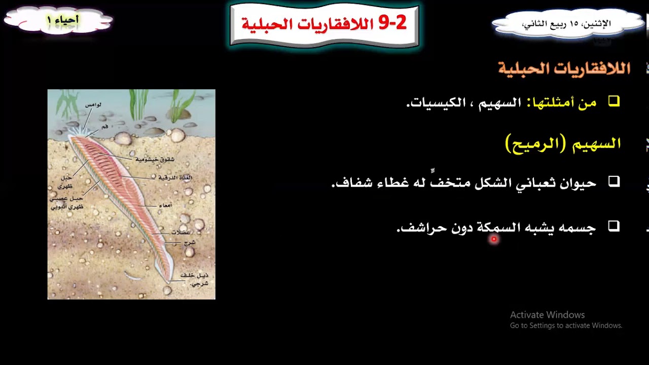 أحياء 1: اللافقاريات الحبلية