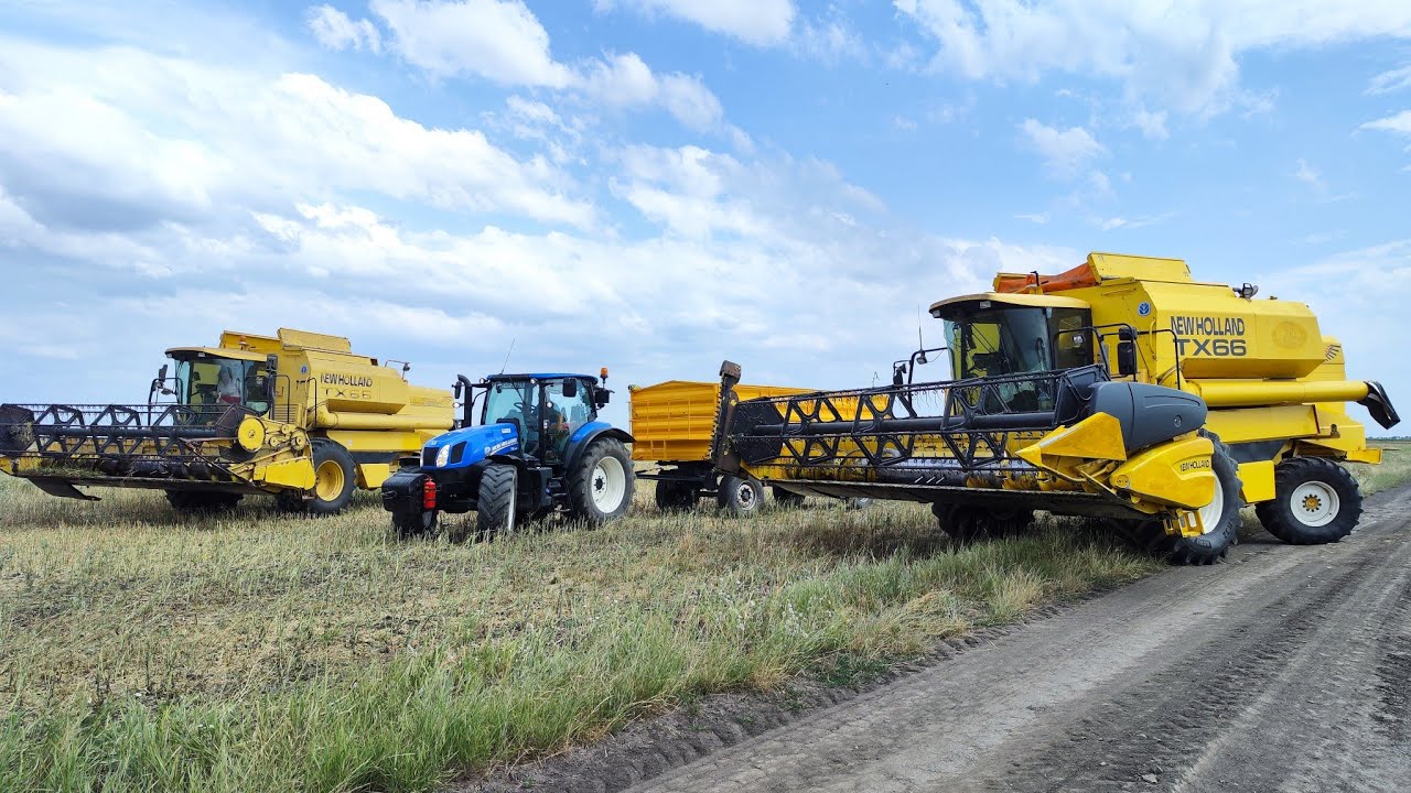 Kombájnos Vlog #8 - Repce aratás | 2X New Holland TX66 | [NEW HOLLAND TEAM]