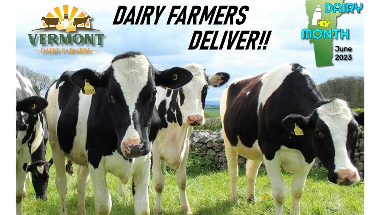 June is Dairy Month