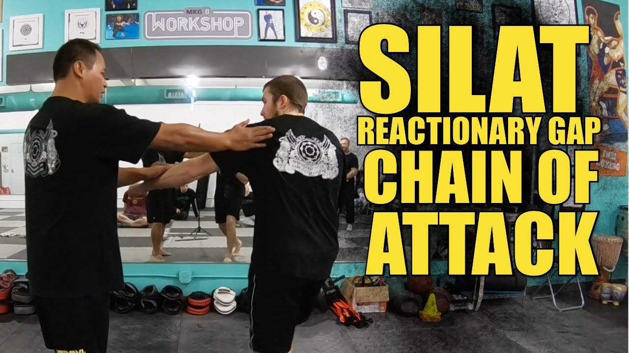 Empty Hand Strikes Chain Attack - Silat Suffian Bela Diri #ReactionaryGap #Kuntau #HitHarder