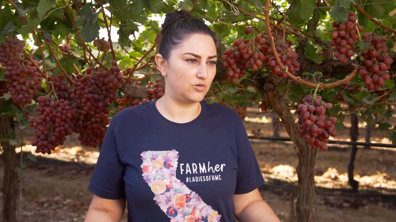 California Goodness:  Grape FarmHERS